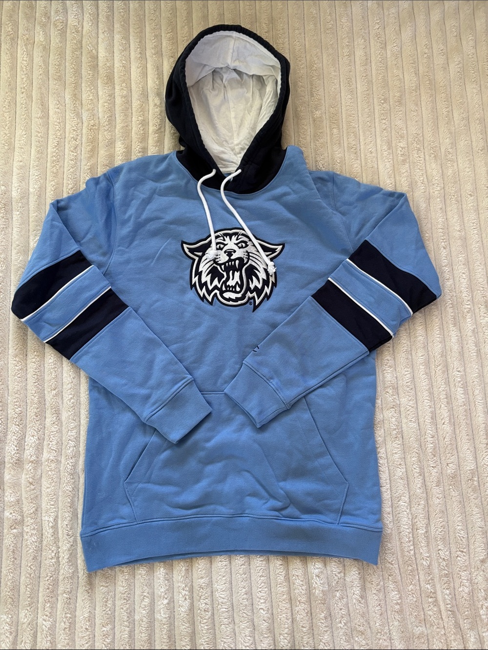 Villanova Champion Wildcat Hoodie